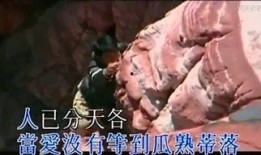 新家法 在线观看,家庭伦理与法律规范的双重审视